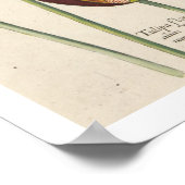 チューリップ ポスター (角)