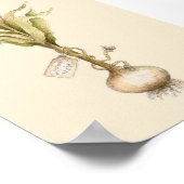 チューリップ – ポスター (角)