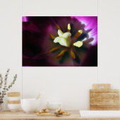 チューリップ ポスター (キッチン)