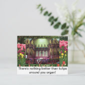 チューリップ ポストカード (スタンド正面)
