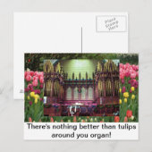 チューリップ ポストカード (正面/裏面)