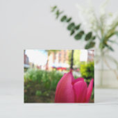 チューリップ ポストカード (スタンド正面)