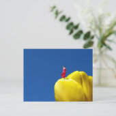 チューリップ ポストカード (スタンド正面)