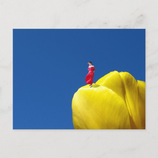 チューリップ ポストカード (正面)