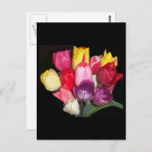 チューリップ ポストカード (正面/裏面)