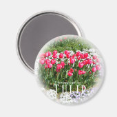 チューリップ マグネット (正面/裏面)