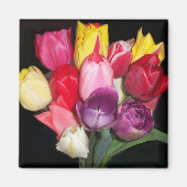 チューリップ マグネット (正面)