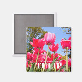 チューリップ マグネット (正面/裏面)