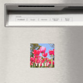 チューリップ マグネット (インサイチュ (食洗機))