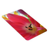 チューリップ マグネット (右側)