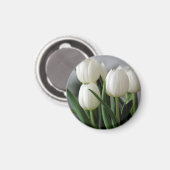 チューリップ マグネット (正面/裏面)