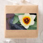 チューリップ ラベル (インサイチュ)