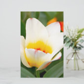 チューリップ 便箋 (スタンド正面)