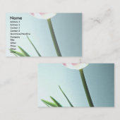 チューリップ 名刺 (正面/裏面)