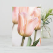 チューリップ 招待状 (スタンド正面)