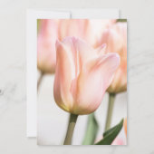 チューリップ 招待状 (裏面)