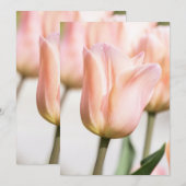 チューリップ 招待状 (正面/裏面)