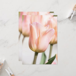 チューリップ 招待状