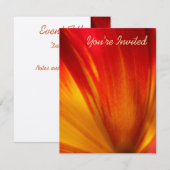 チューリップ 招待状 (正面/裏面)