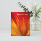 チューリップ 招待状 (スタンド正面)