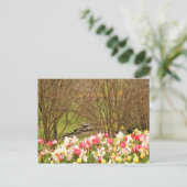 チューリップ/木 ポストカード (スタンド正面)