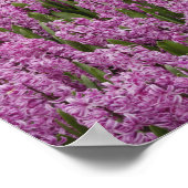 チューリップ、水仙、ヒヤシンスの庭園 ポスター (角)