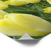チューリップ、水仙、ブドウの花 ポスター (角)
