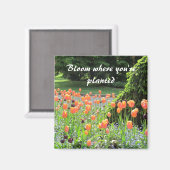 チューリップ – 開花(あなたは植栽) マグネット (正面/裏面)