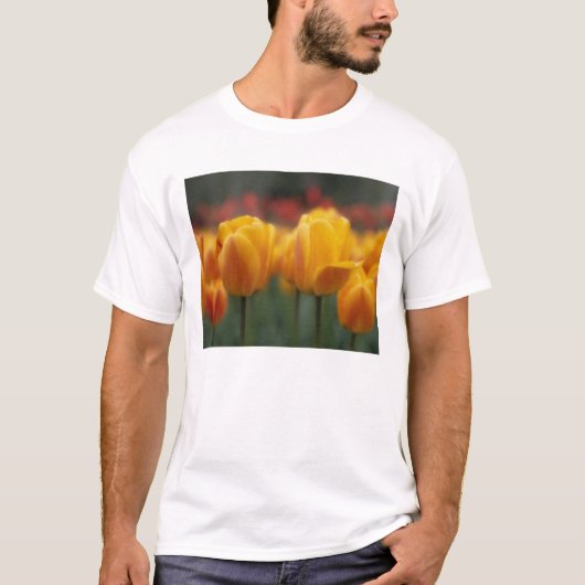 チューリップ 2 Tシャツ (正面)
