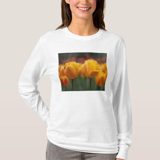 チューリップ 2 Tシャツ (正面)