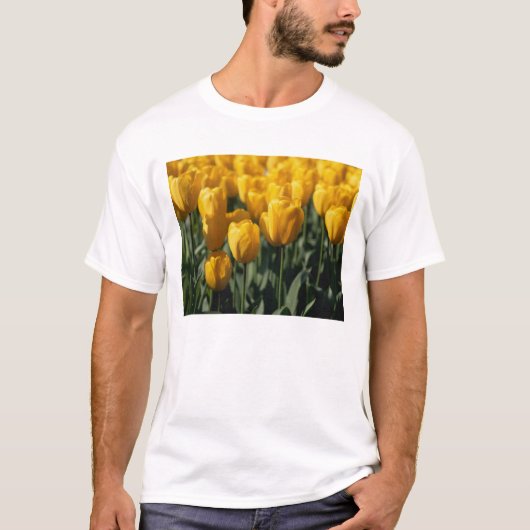 チューリップ 3 Tシャツ (正面)