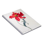 チューリップ: Perroquetの弁柄 ノートブック (右側)