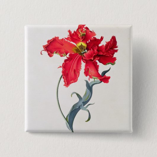 チューリップ: Perroquetの弁柄 缶バッジ (正面)