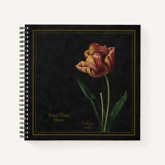 チューリップ (Tulipa culta) ブラックノートブック ノートブック (正面)