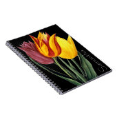 チューリップ(Tulipa Gesneriana) ノートブック (右側)