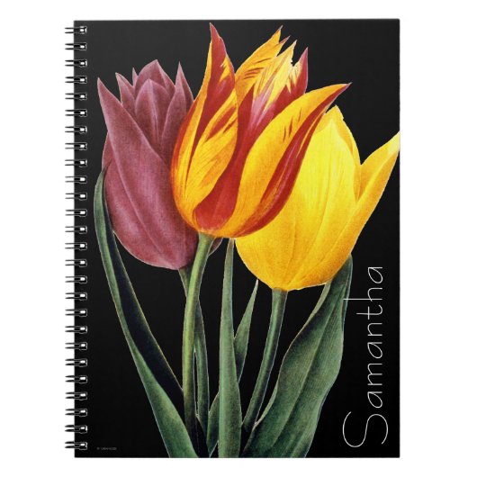 チューリップ(Tulipa Gesneriana) ノートブック (正面)