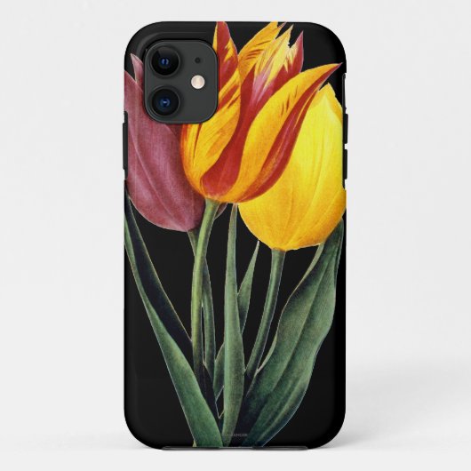 チューリップ(Tulipa Gesneriana) Case-Mate iPhoneケース (裏面)