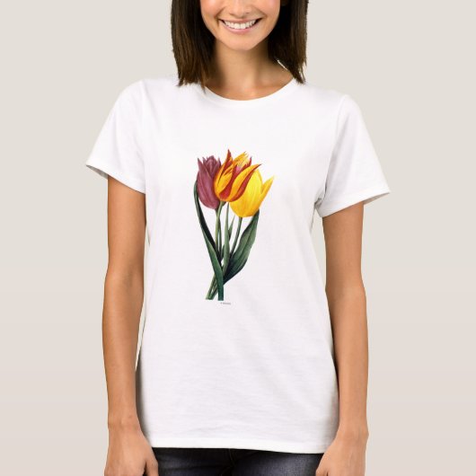 チューリップ(Tulipa Gesneriana) Tシャツ (正面)