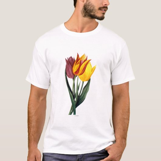 チューリップ(Tulipa Gesneriana) Tシャツ (正面)