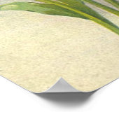 チューリップbyキャサリンクライン ポスター (角)