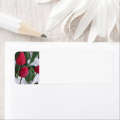 チューリップin the Snow住所 シール (インサイチュ)