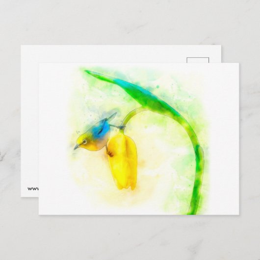 チューリ日本のップの水色の白い目の鳥 ポストカード (正面/裏面)