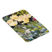 チューリ淡い色のップ マグネット (右側)