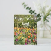 チューリ鮮やかップガーデンマザーズデイカード シーズンカード (スタンド正面)