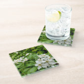 チョイシャテルナタ ガラスコースター (アングル)