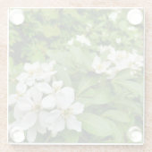 チョイシャテルナタ ガラスコースター (裏面)