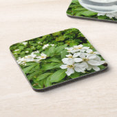 チョイシャテルナタ コースター (左側)