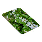 チョイシャテルナタ マグネット (右側)