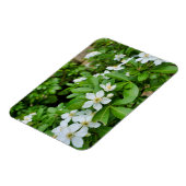 チョイシャテルナタ マグネット (左側)