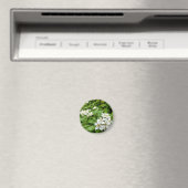 チョイシャテルナタ マグネット (インサイチュ (食洗機))